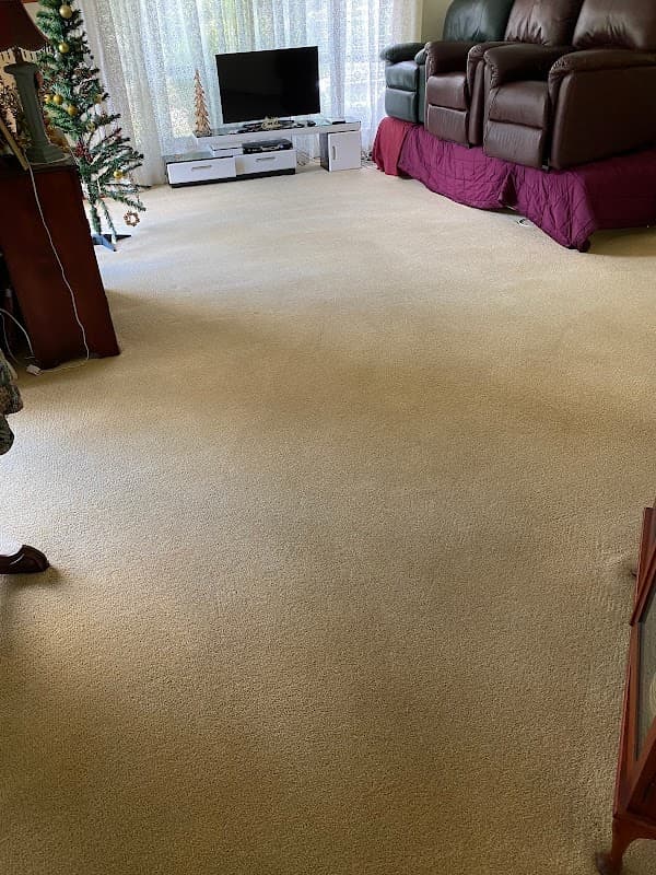Sun Clean Carpet Cleaning & Pest Control