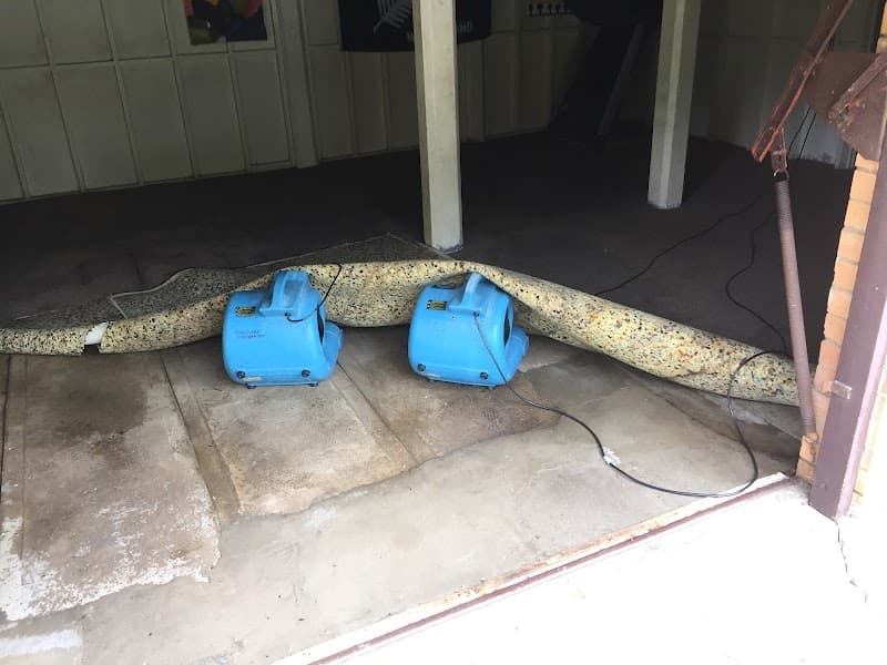 Sun Clean Carpet Cleaning & Pest Control project 6