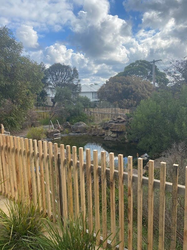 Surfcoast Pool Fences project 4