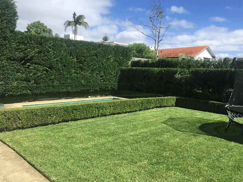 SurfSide Gardens cover