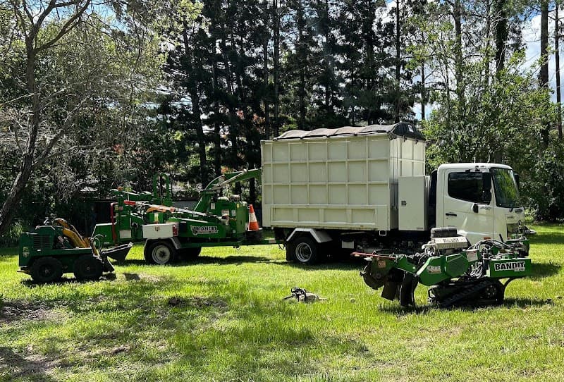 Sustainable Tree Care project 1