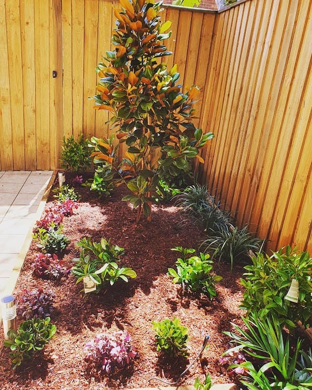 Sydney Gardenscaping project 3