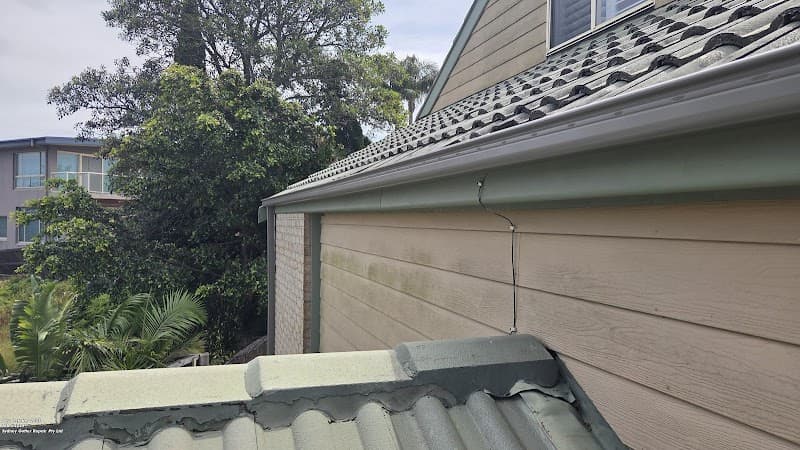 Sydney Gutter Repair cover
