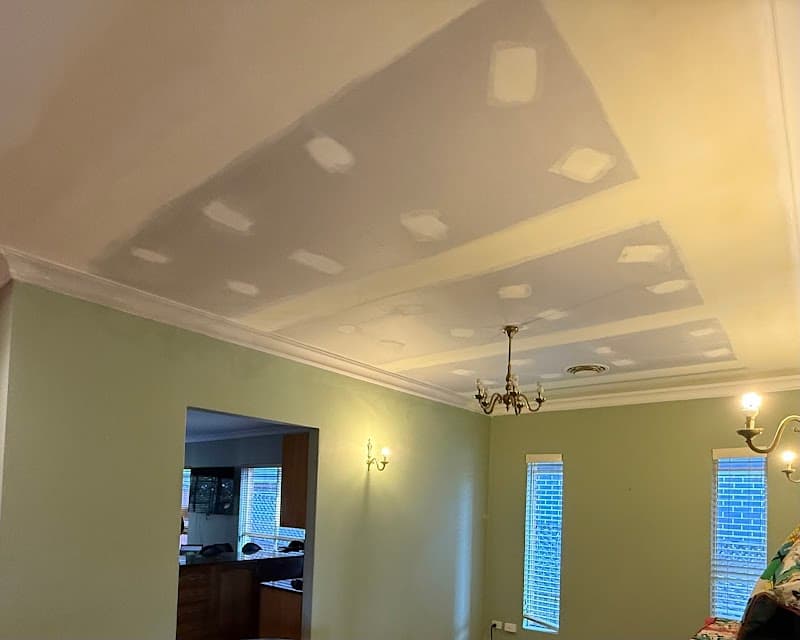 Sydney Plastering Service cover