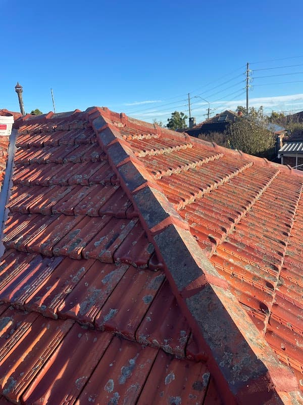 Sydney Roofing Repairs cover