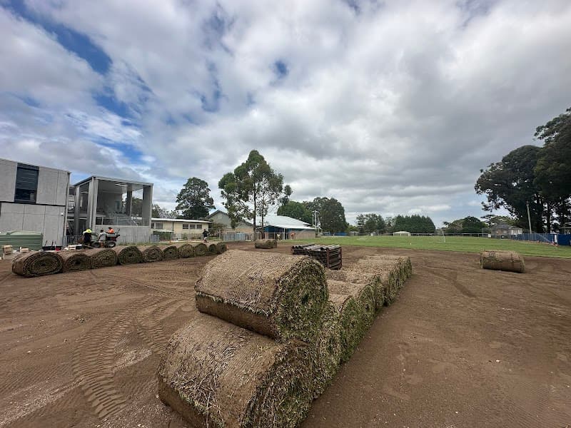 SYDNEY TURF AND LANDSCAPING project 6