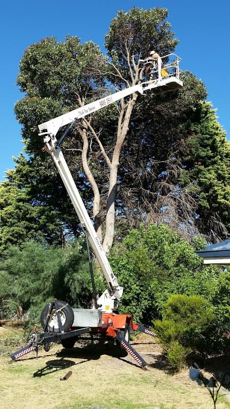 T & A Tree Services