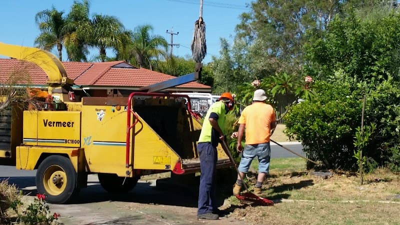 T & A Tree Services project 4