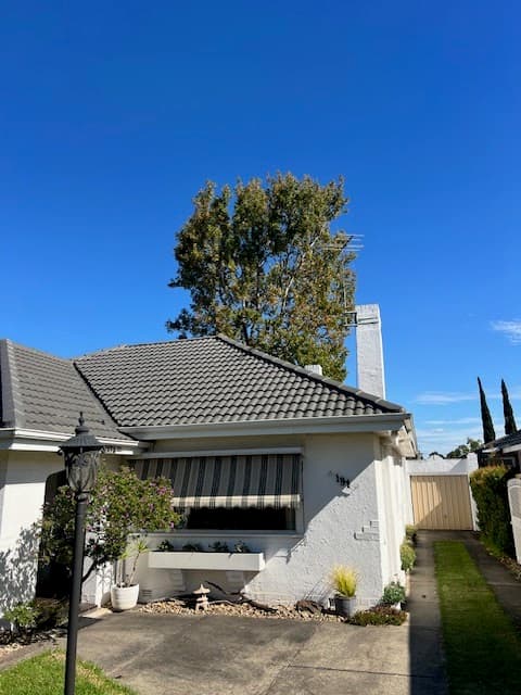 T4 Tree Services project 6