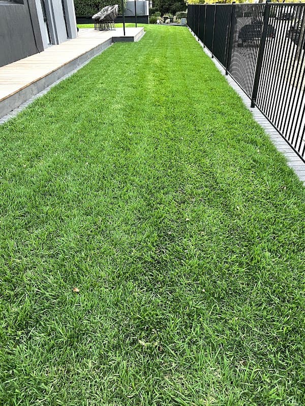 Tanga Landscaping cover
