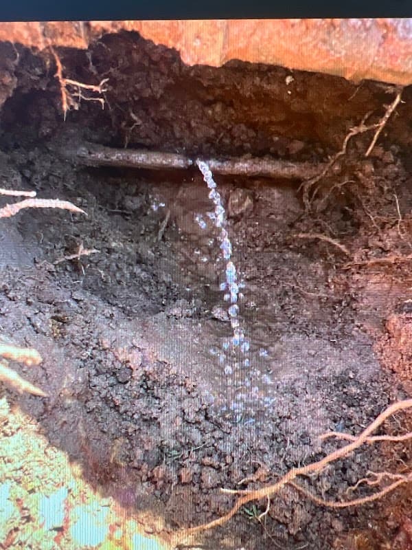 Tap & Drain Dr NT project 5