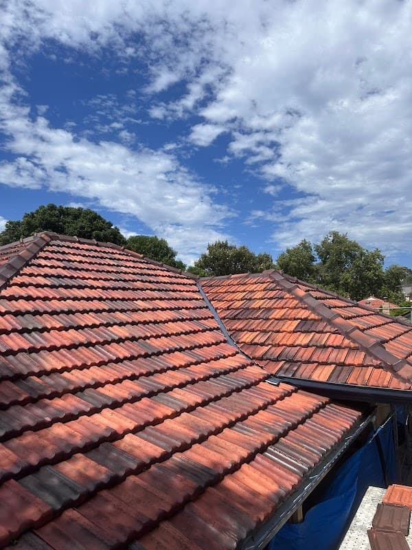 Tarzan's Roofing Solutions project 2
