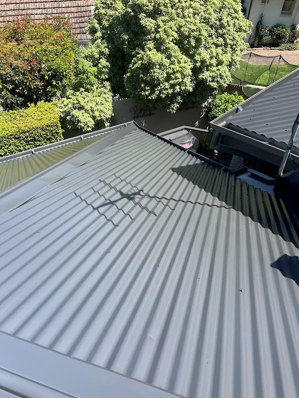 Tarzan's Roofing Solutions project 5