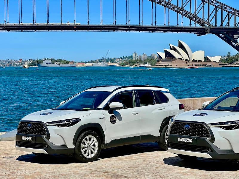 Teesa locksmith project 1