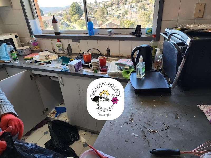 The Cleaning Lady Agency project 4