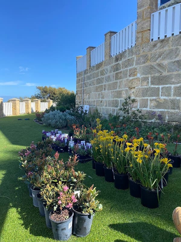 The Garden Collective project 3