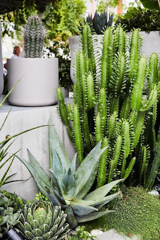 The Green Landscapes and Design project 1