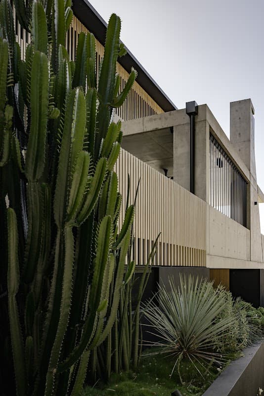 The Green Landscapes and Design project 4