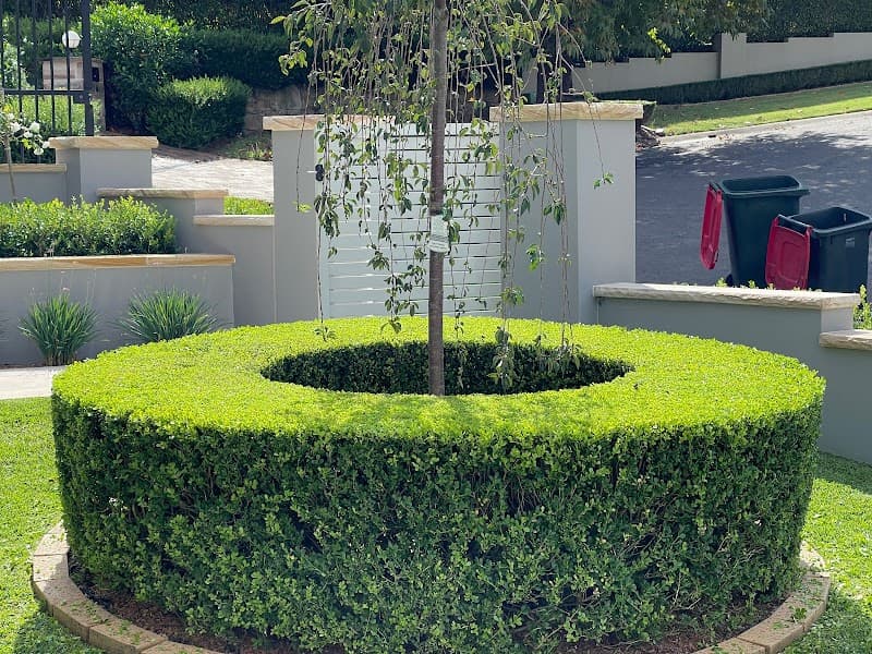 The Hills Hedge Man project 3