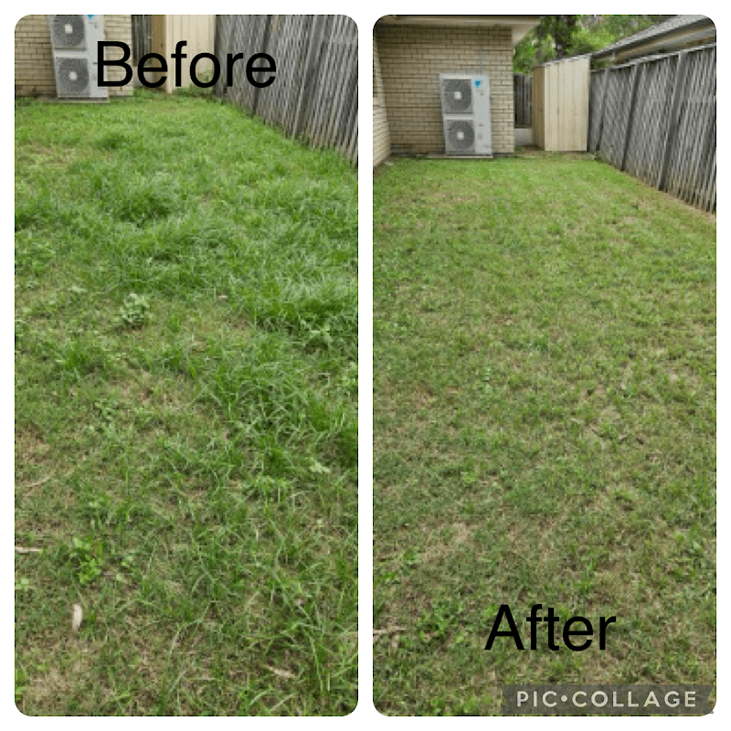 The Local Lawn Guy