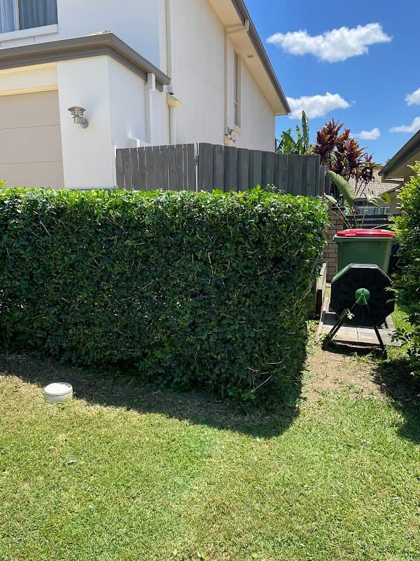 The Local Lawn Guy cover