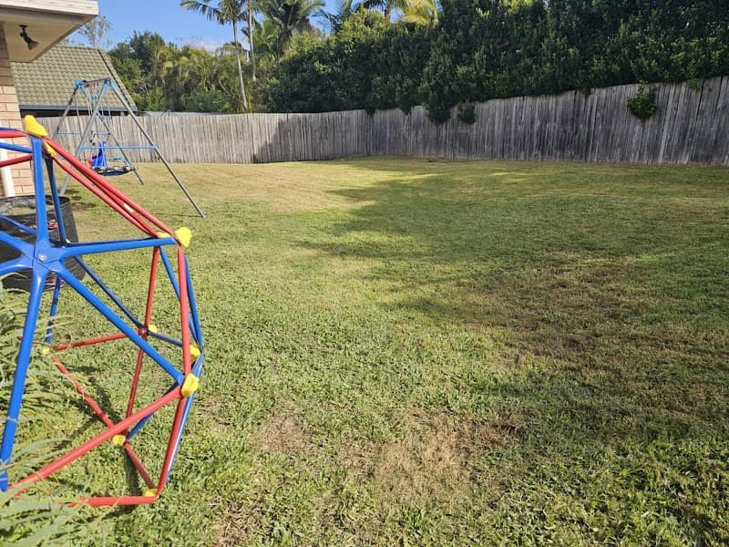 The Local Lawn Guy project 4