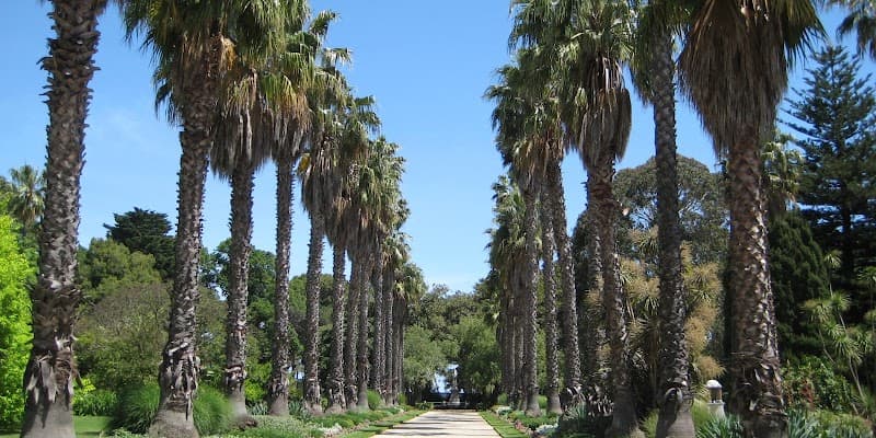 The Williamstown Gardener project 1