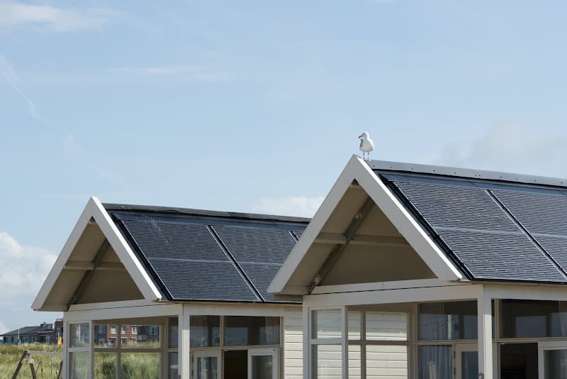 Think Renewable project 4