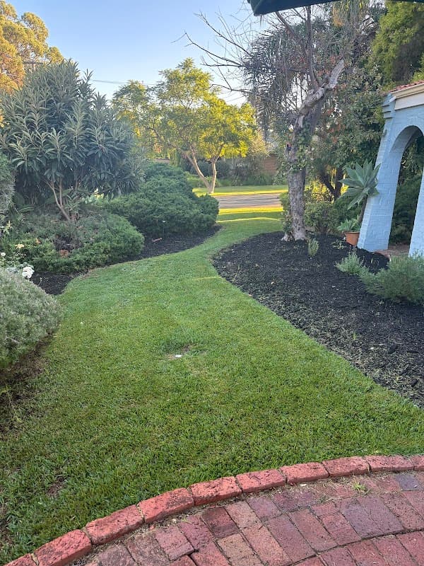 Thirsty Lawn Solutions cover