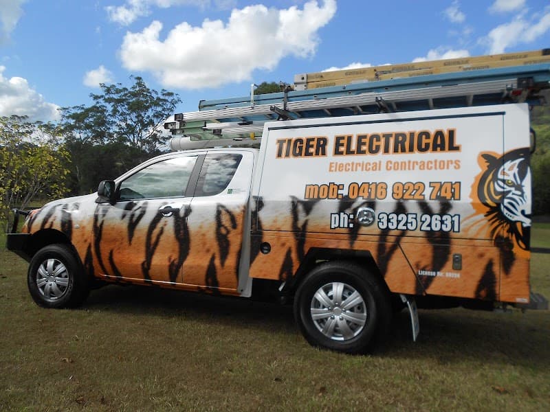 Tiger Electrical project 1