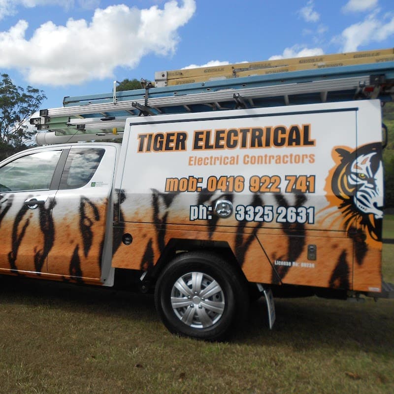 Tiger Electrical project 3