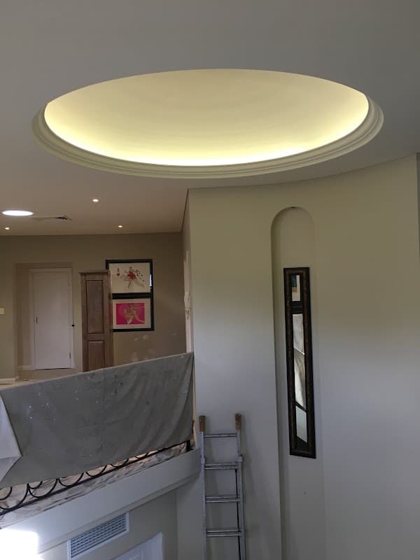 Todaro Painting Solutions cover