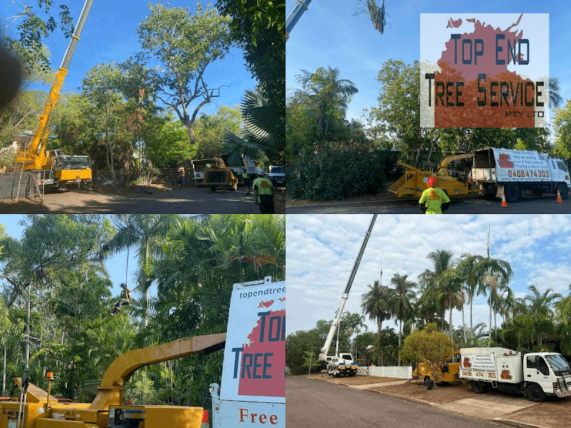 TOP END TREE SERVICE PTY LTD. project 1