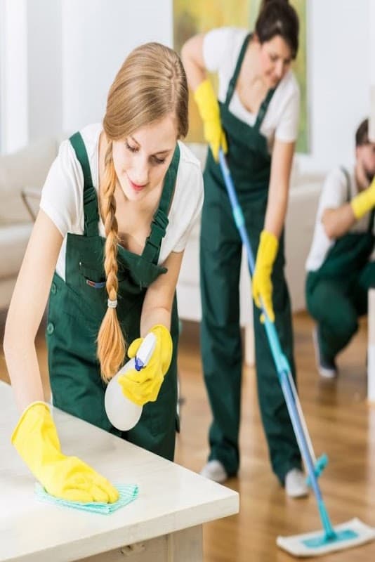 Top Sydney Cleaners cover