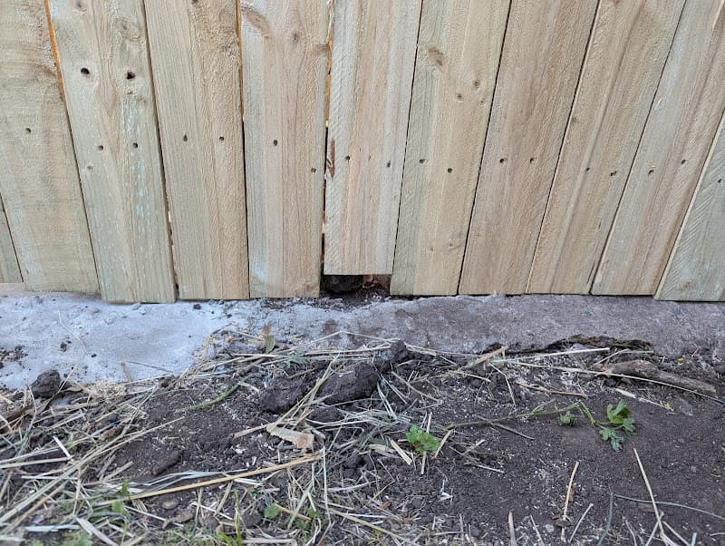 Total Fencing QLD project 4