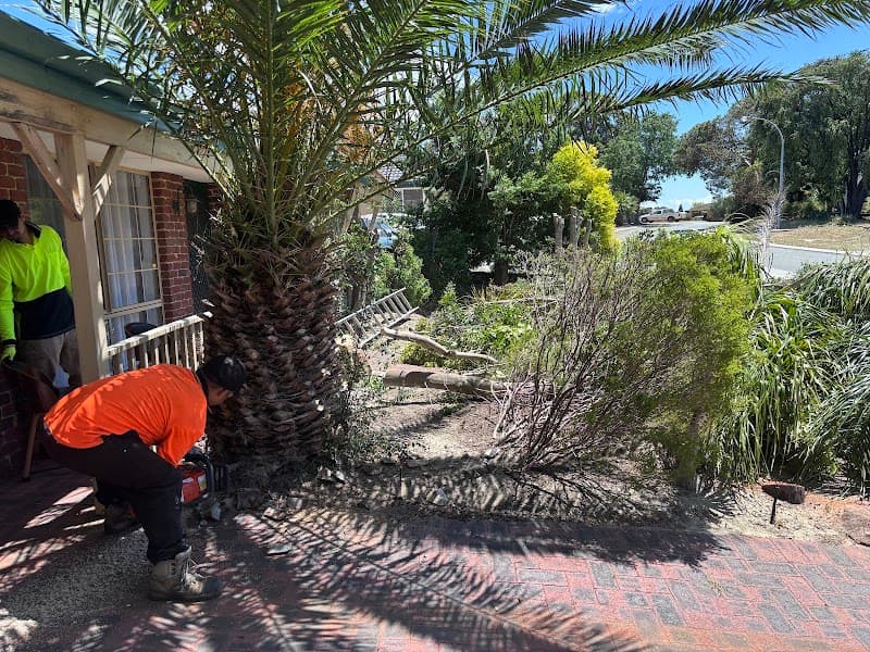 Total landscape and gardening Services cover