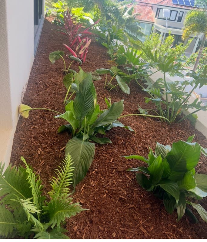 Transforming Gardens Gold Coast Landscape project 4