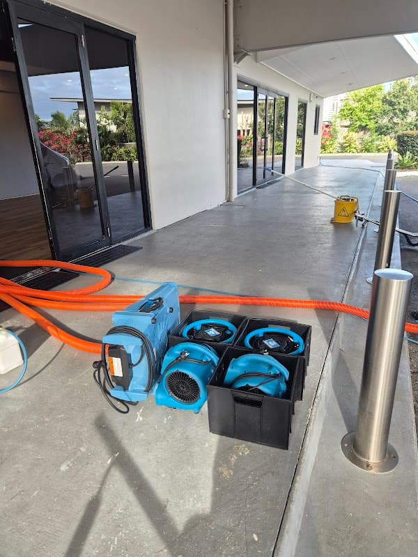 Triple star carpet cleaning project 3