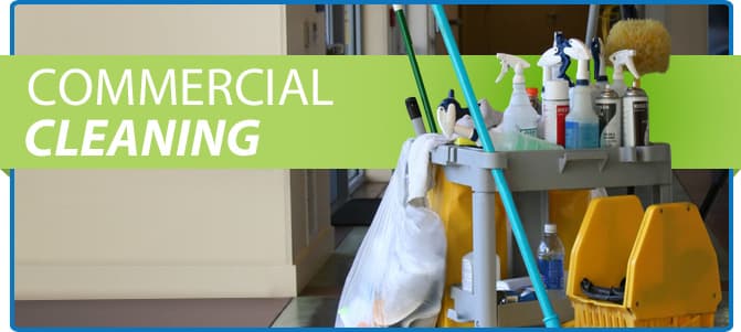Troia's Cleaning Service cover