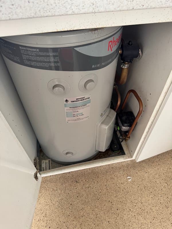Trust the best flush the rest plumbing project 4