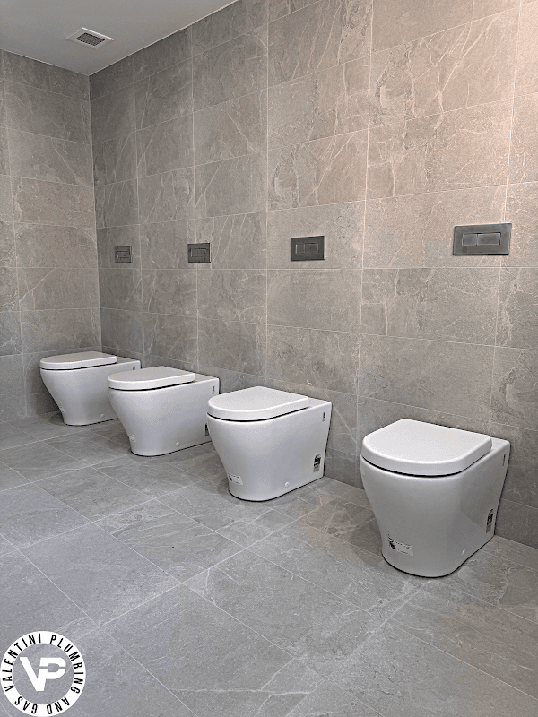 Valentini Plumbing And Gas project 3