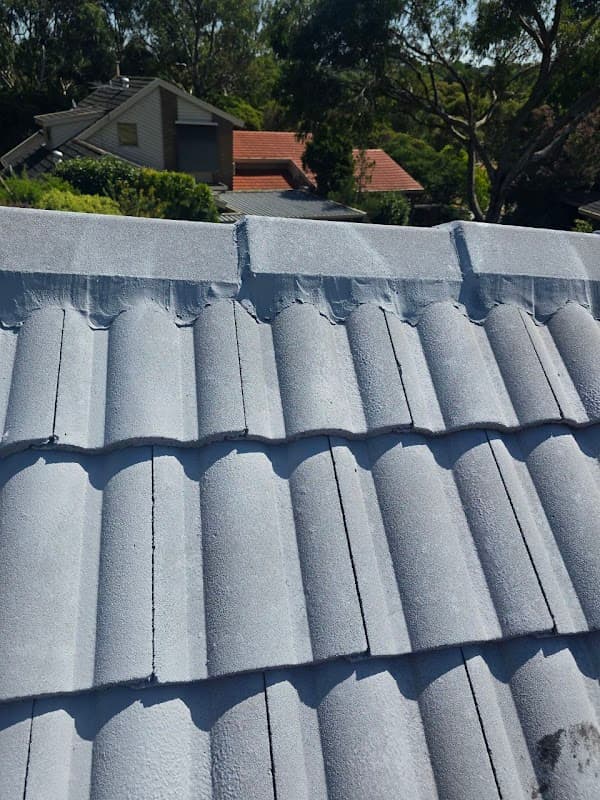 Vicroofing Services & Maintenance project 2