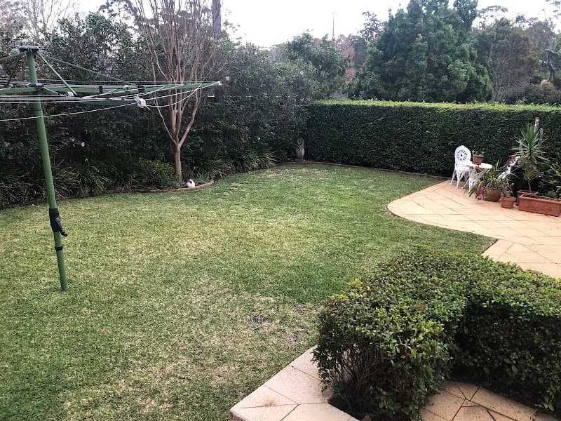 Wahroonga Lawn & Leaf cover