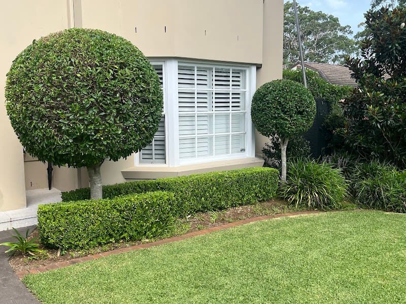 Wallaby Gardens cover
