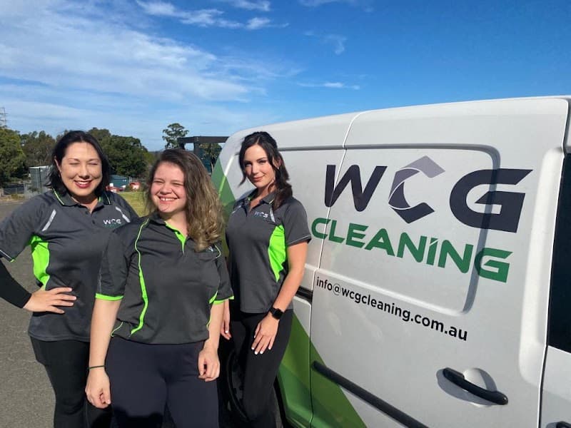 WCG Cleaning cover