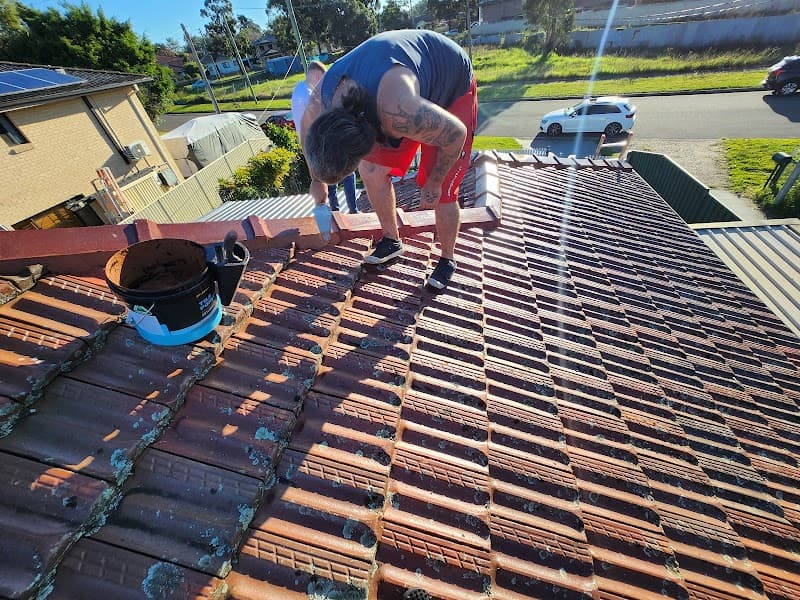 Wedge tailed roof repairs project 4