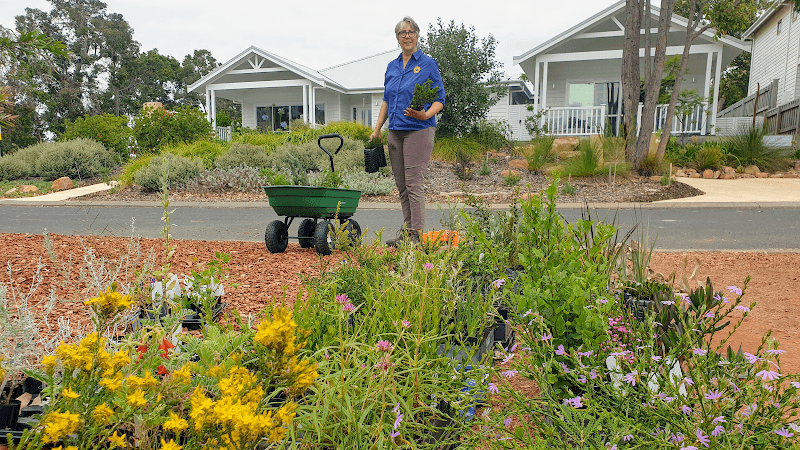 Western Wildflower Gardens project 1