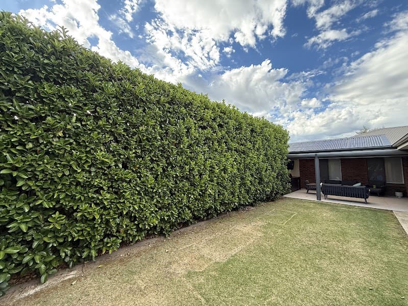 Westside Yard Care cover