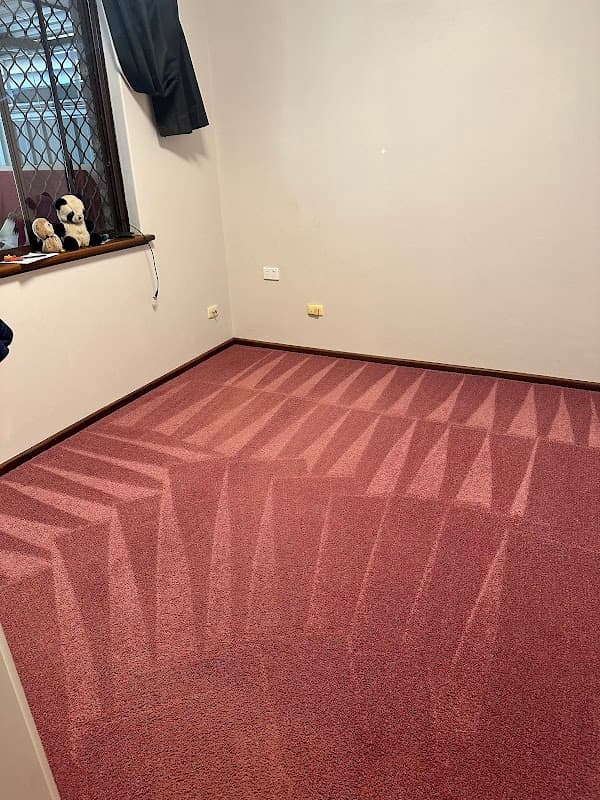 What Mess Cleaning Services project 4