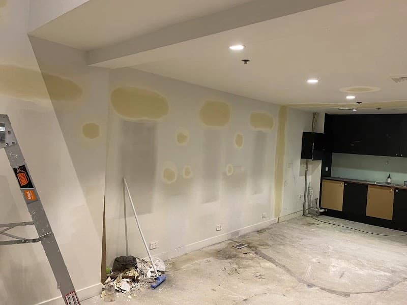 White Stone Painting and Decorating project 1